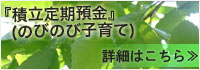 積立定期預金『のびのび子育て』
